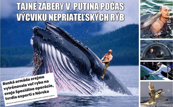 Ako používať veľa rýb online dating