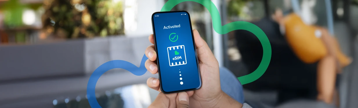 e SIM