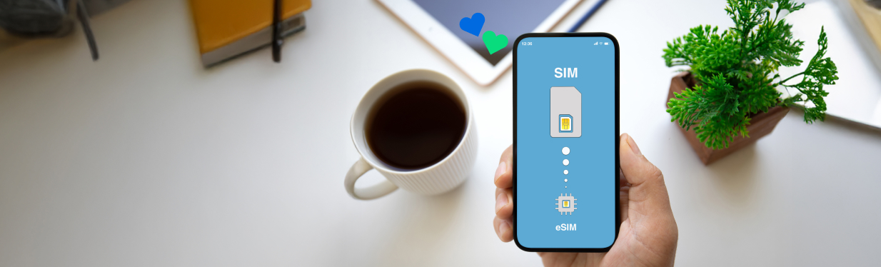 APN Settings on Apple iOS