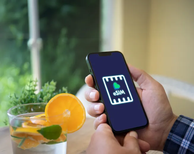 Nano SIM or Micro SIM or eSIM