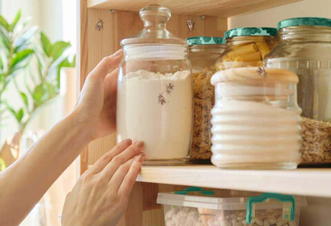 MOTMUGGEN – zo voorkom je ze en zo kom je ervan af