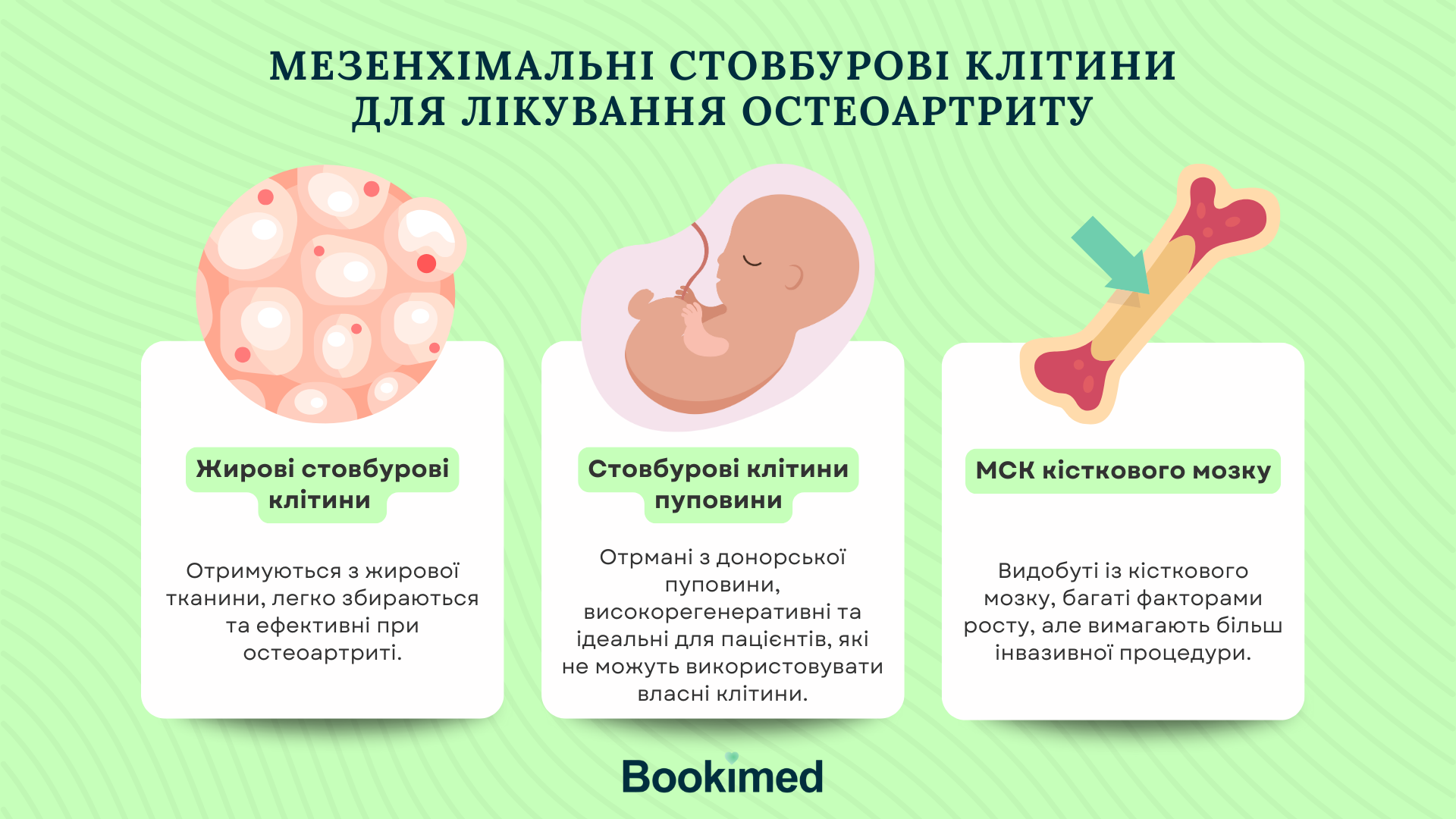 cell types used for osteoarthritis
