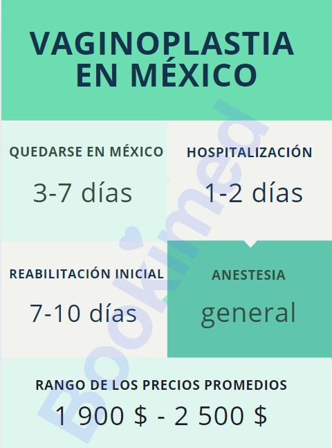 infografía sober vaginoplastia en méxico