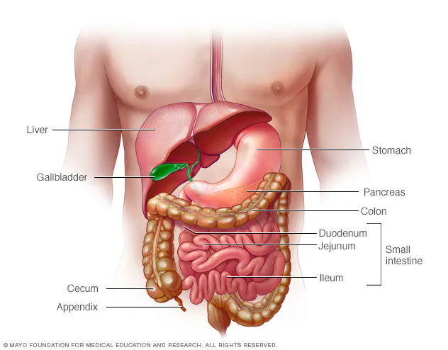 Crohn's Disease Symptoms