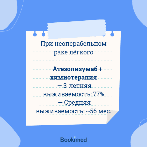 статистика