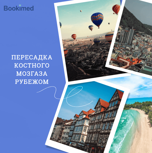 страны для трансплантация костного мозга