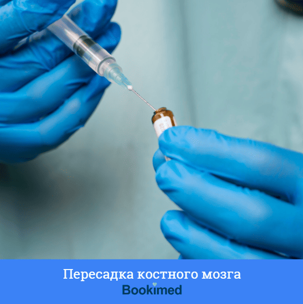 трансплантация костного мозга c помощью стволовых клеток