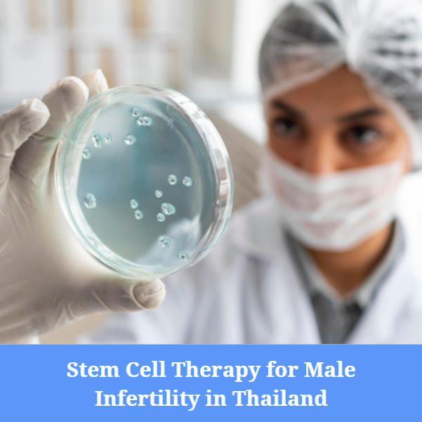 stem cell therapy process  with an enhanced mesenchymal stem cells immune system