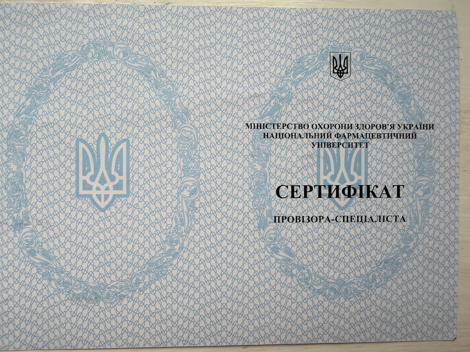 Daryna Horopashna's diploma
