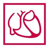 Сертификат DKG