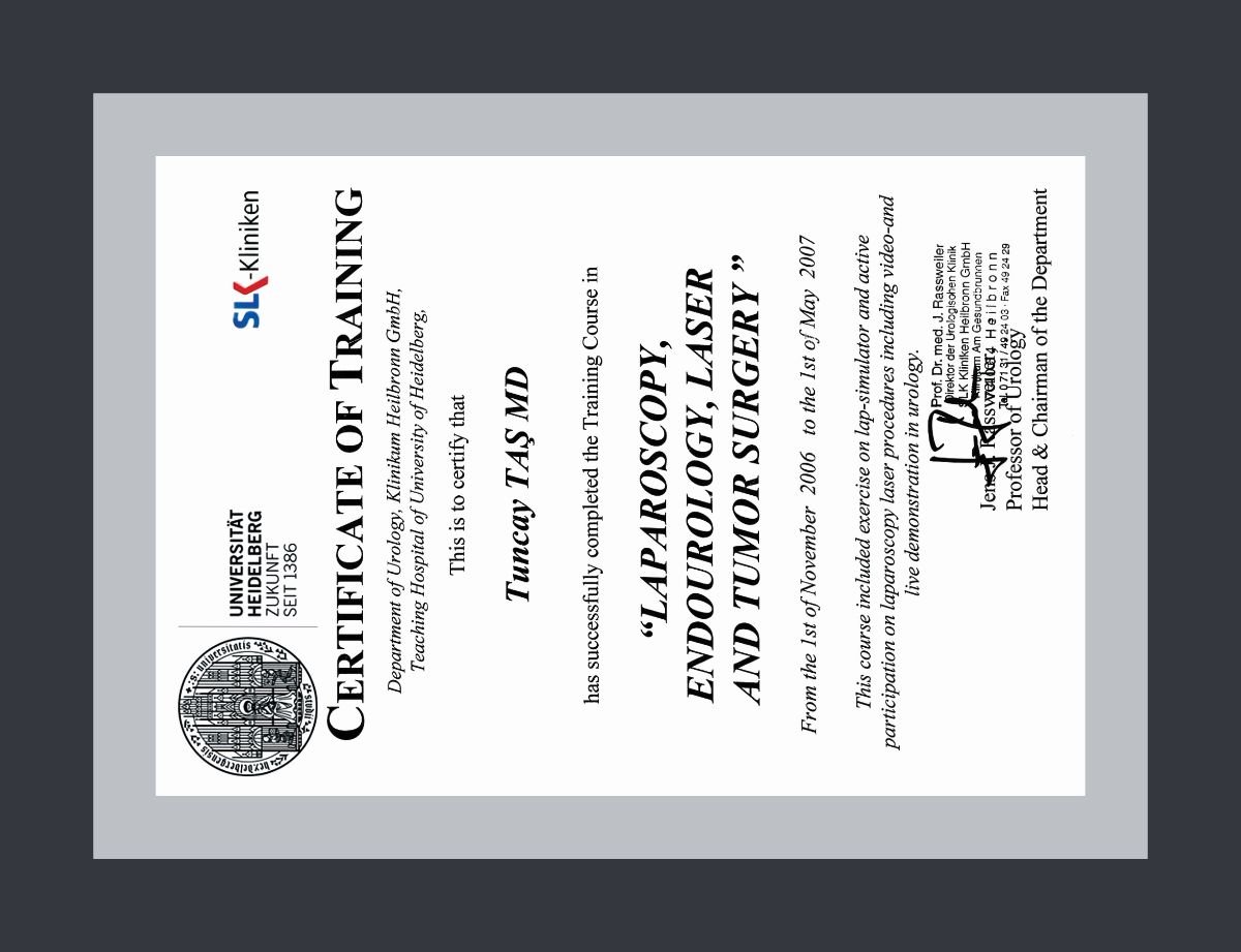 شهادة تدريب في تنظير البطن والاندوأورولوجيا للدكتور تونجاي تاش، Safe Urology Clinic، 2007