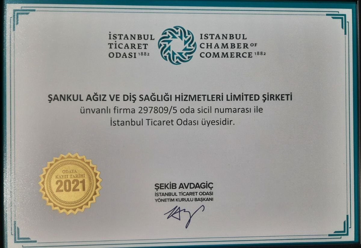 Certificado de membresía de la Cámara de Comercio de Estambul para Mesta Dent, 2021
