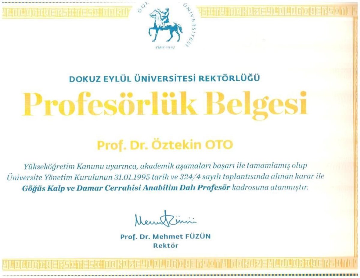 شهادة أستاذية للبروفيسور د. أوزتكين أوتو، جامعة دوكوز إيلول، 1995