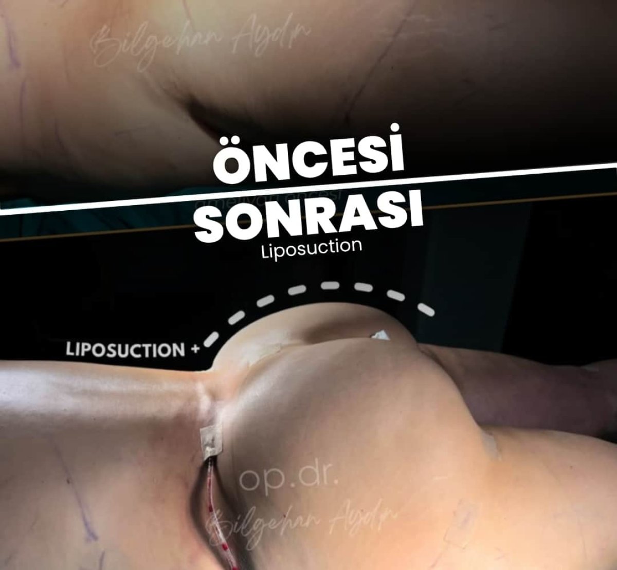 photo #2