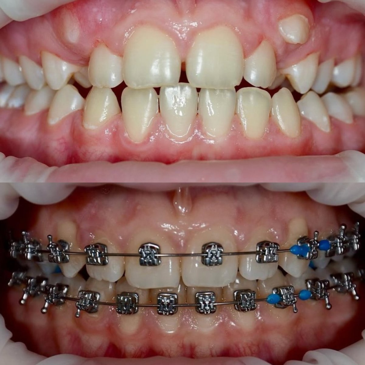 photo #2