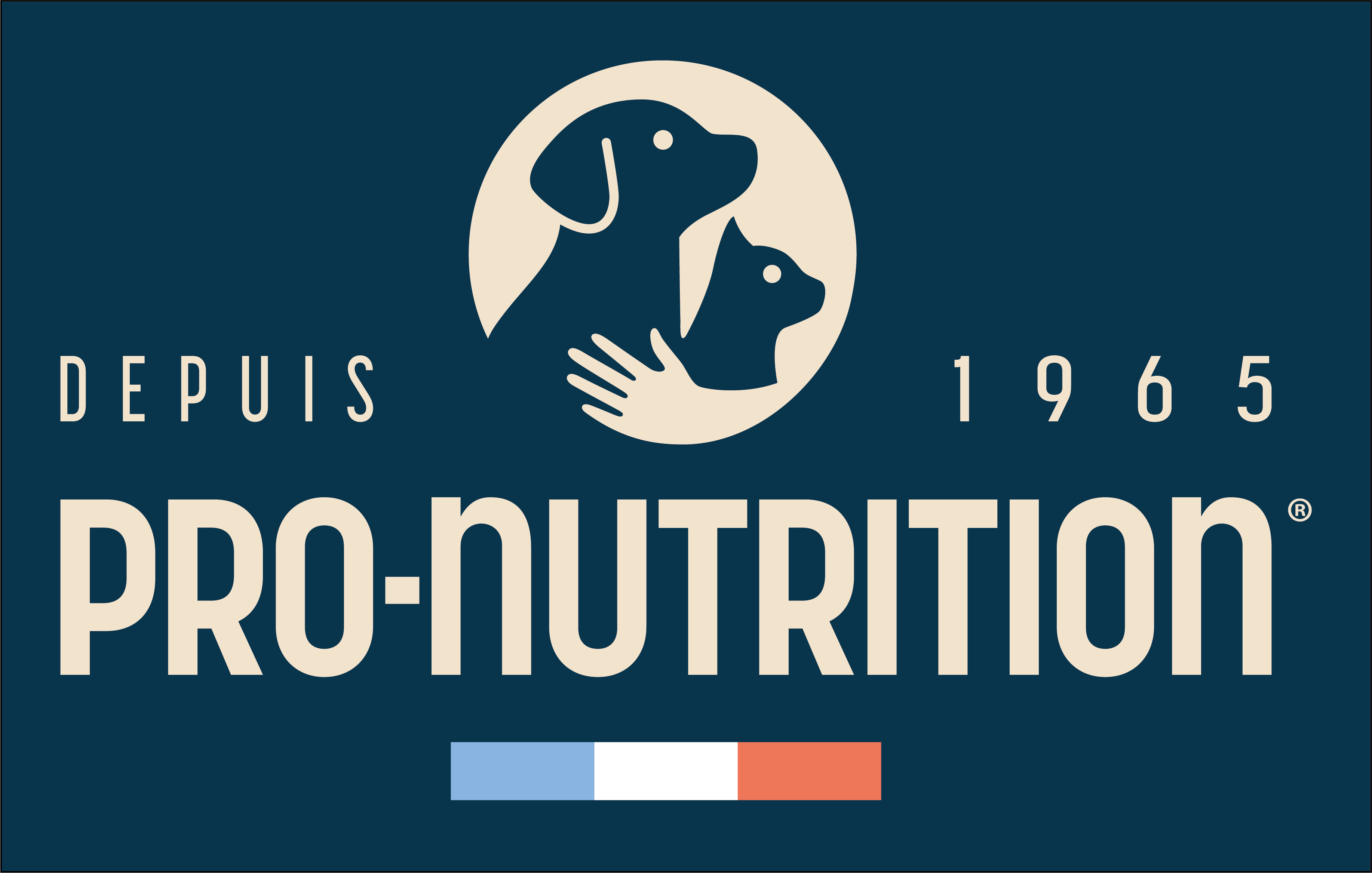 pro-nutrition.fr Logo