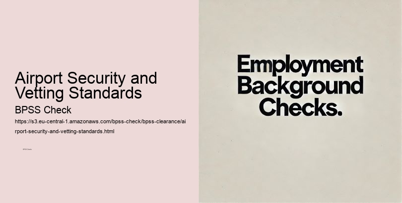 Airport Security and Vetting Standards  