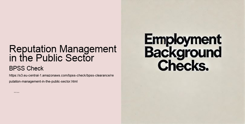 Reputation Management in the Public Sector  