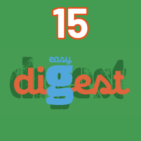SOLDES - 1 sachet de 15 sticks DIGEST