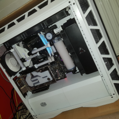 white master