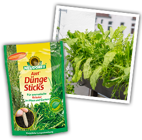 Azet DüngeSticks für Kräuter Azet DüngeSticks für Kräuter