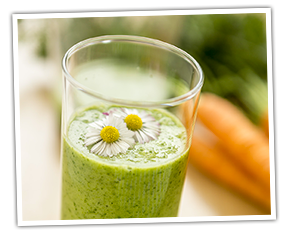 Der Wildgärtner-Smoothie Der Wildgärtner-Smoothie