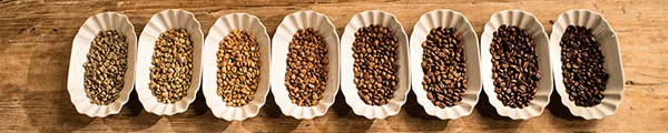 Kaffeeröstungsgrade Kaffeeröstungsgrade