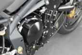 Triumph Street Triple 675 R