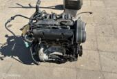 Benzinemotor stjb Ford Fiesta VI ('08-'17)