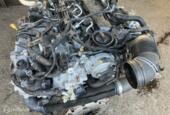 Dieselmotor crv Volkswagen Passat B8 ('14-'21)
