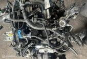 Benzinemotor m1da Ford C-Max II ('10-'19)