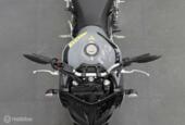 Yamaha MT 09  abs