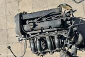 Benzinemotor stjb Ford Fiesta VI ('08-'17)