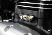 Triumph Speedmaster 1200
