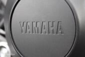Yamaha MT 09  abs