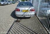 Onderdelen Nissan Primera 2.0 Sport 2000