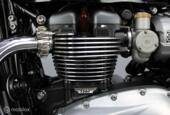 Triumph Speedmaster 1200