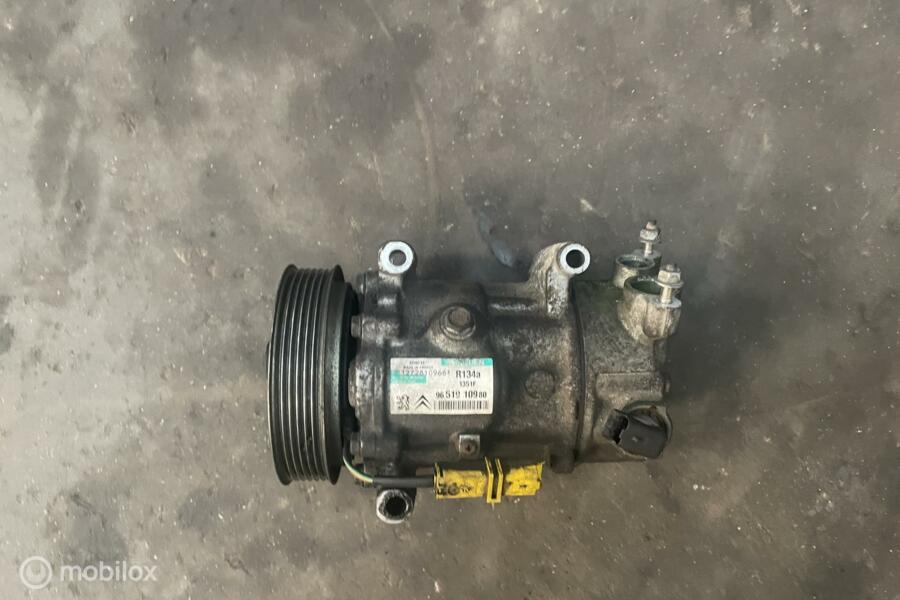 Airco pomp Peugeot 307 1.4-16V ('01-'07) 9651910980