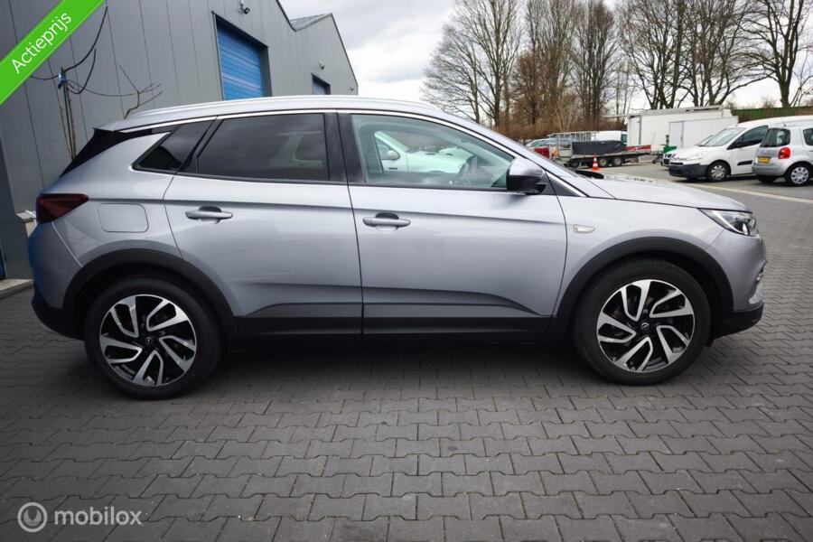Opel Grandland X 1.2 Turbo /  Innovation / Dealer Onderhouden / 1 ste Eigenaar /