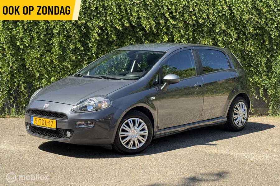 Fiat Punto Evo 1.3 M-Jet | Zuinig | Alcantara| 5-Deurs