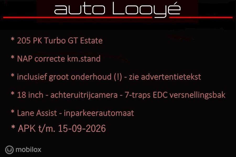 Renault Megane Estate 1.6 TCe GT 205 PK - incl. 12 mnd garantie