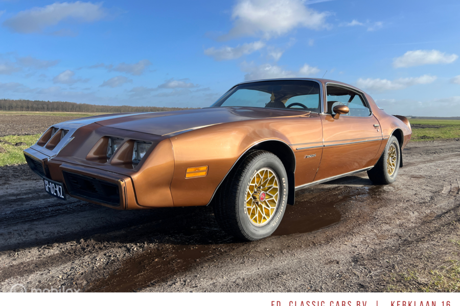Pontiac Firebird  Coupé BJ1981 V8 Motor