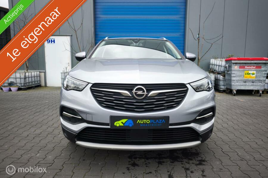 Opel Grandland X 1.2 Turbo /  Innovation / Dealer Onderhouden / 1 ste Eigenaar /