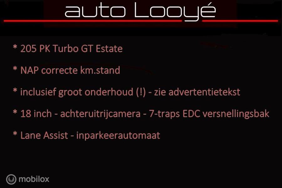 Renault Megane Estate 1.6 TCe GT 205 PK, aut., org. NL, 18 inch, groot onderh. uitgev.