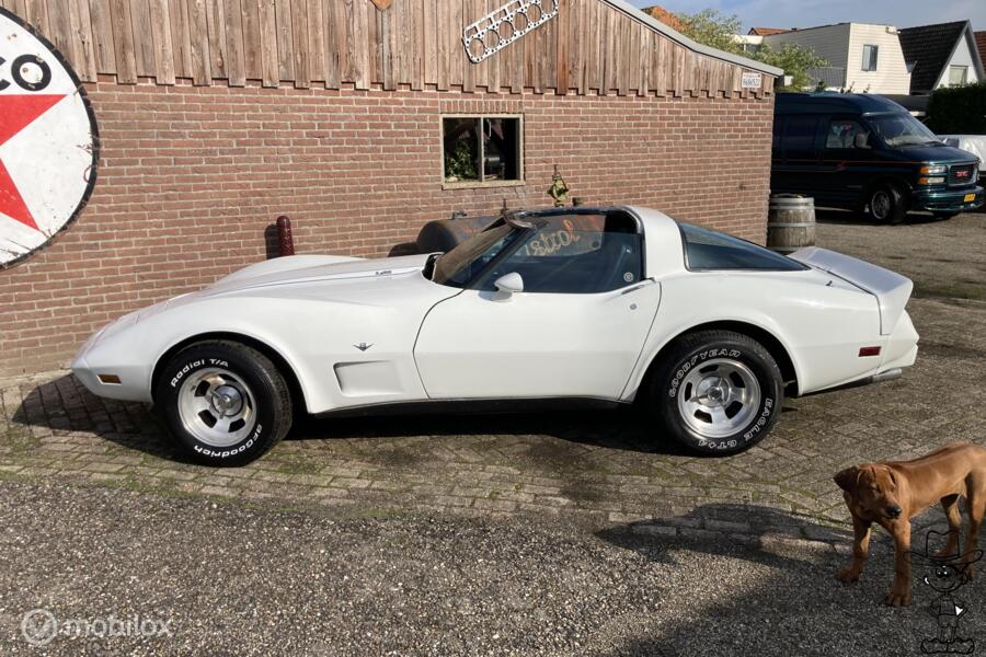 Chevrolet USA Corvette C3 v8 Targa 1979