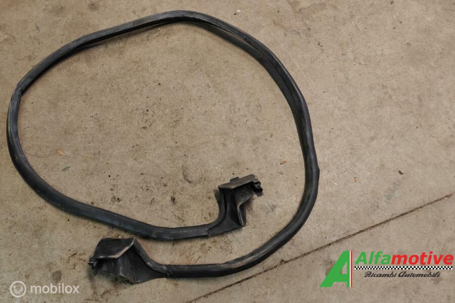 Dakrubber origineel Alfa Romeo GTV ('81-'04) 60597977