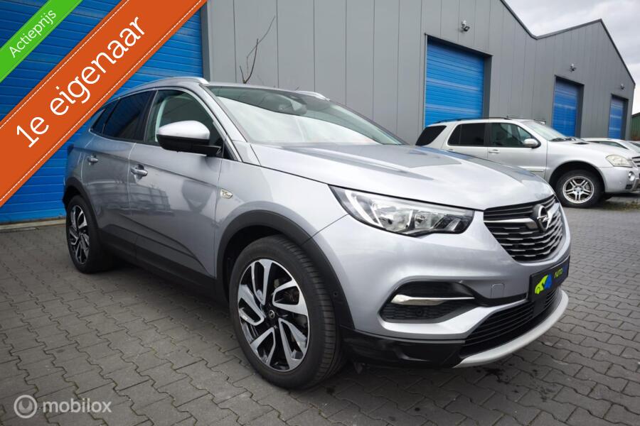 Opel Grandland X 1.2 Turbo /  Innovation / Dealer Onderhouden / 1 ste Eigenaar /