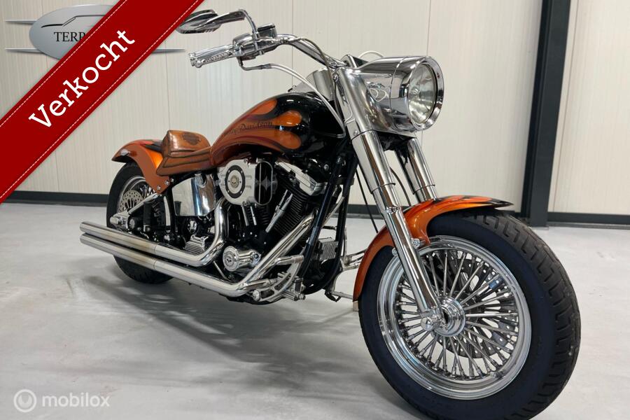 Harley Davidson FLSTC Heritage Softtail Classic