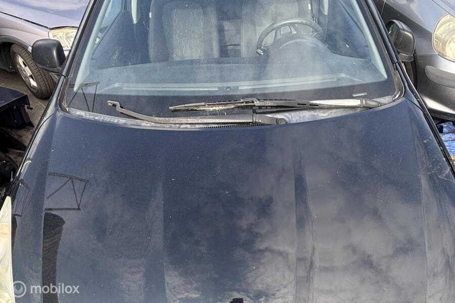 Motorkap zwart Hyundai i20 I ('08-'14)