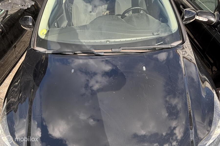Motorkap zwart Ford Focus III ('11-'18)